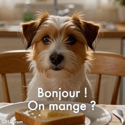 A little dog waits for breakfast: Good morning!