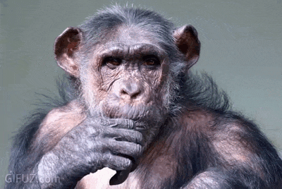 A chimpanzee raises its middle finger in this irreverent reaction.