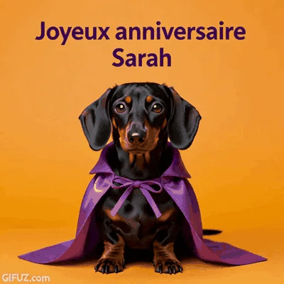 Un bassotto indossa un mantello viola sotto un messaggio di Buon Compleanno Sarah.