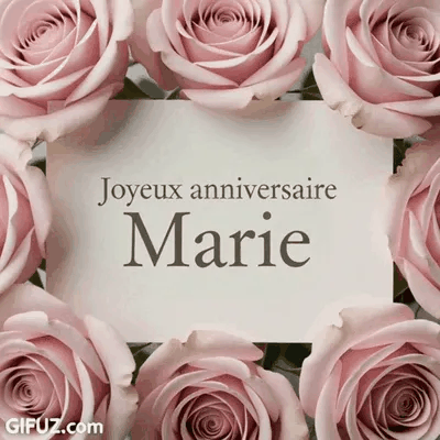 Rosas rosas cercam um cartão de Happy Birthday Marie.
