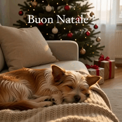 Un cagnolino riposa sul divano vicino all’albero di Natale.