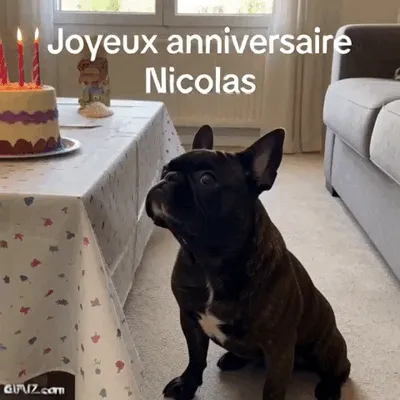 A dog and a birthday cake celebrate Nicolas.