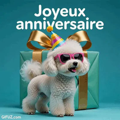 A small white poodle wears pink glasses and a party hat in front of a gift.