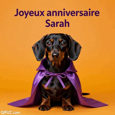Un teckel porte une cape violette sous le message Joyeux anniversaire Sarah.