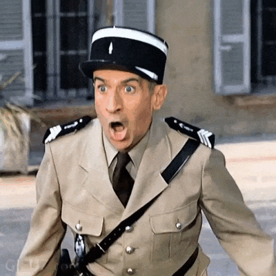Louis de Funès as a policeman cannot believe it!