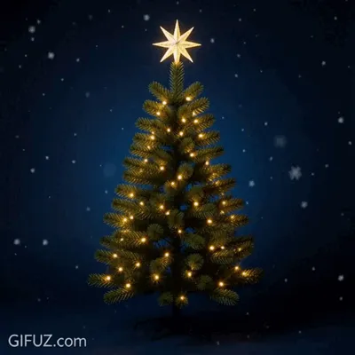 A lit Christmas tree shines beneath a golden star in the snow.